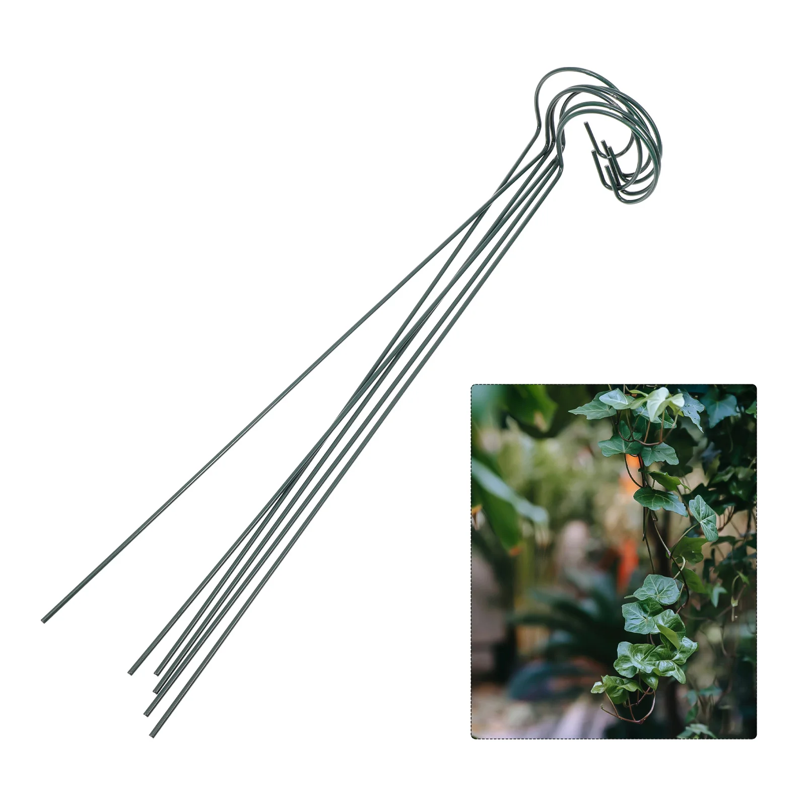 

Support Garden Stakes Trellis Flower Climbing Stand Vine Cage Tomato Iron Pot Trelliclips Round Stem Grafting Ivy Indoor Flowe