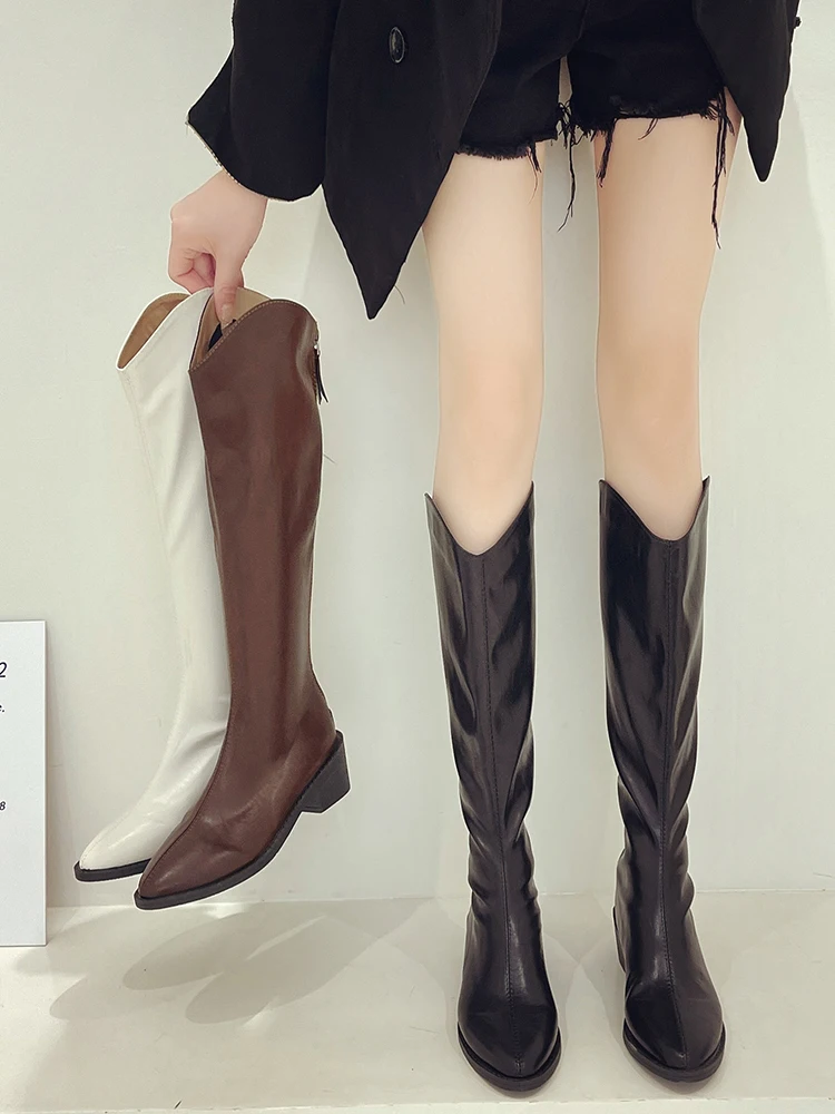 

Женские сапоги, новинка 2022, пуанты на молнии сзади, пикантная обувь на высоком каблуке, высокие Соблазнительные сабо на платформе, на шпильк...