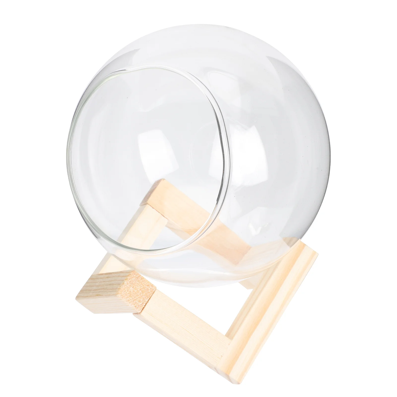 

1 Set Flowers Planting Pot Succulent Plants Flowerpot Transparent Flowerpot with Rack