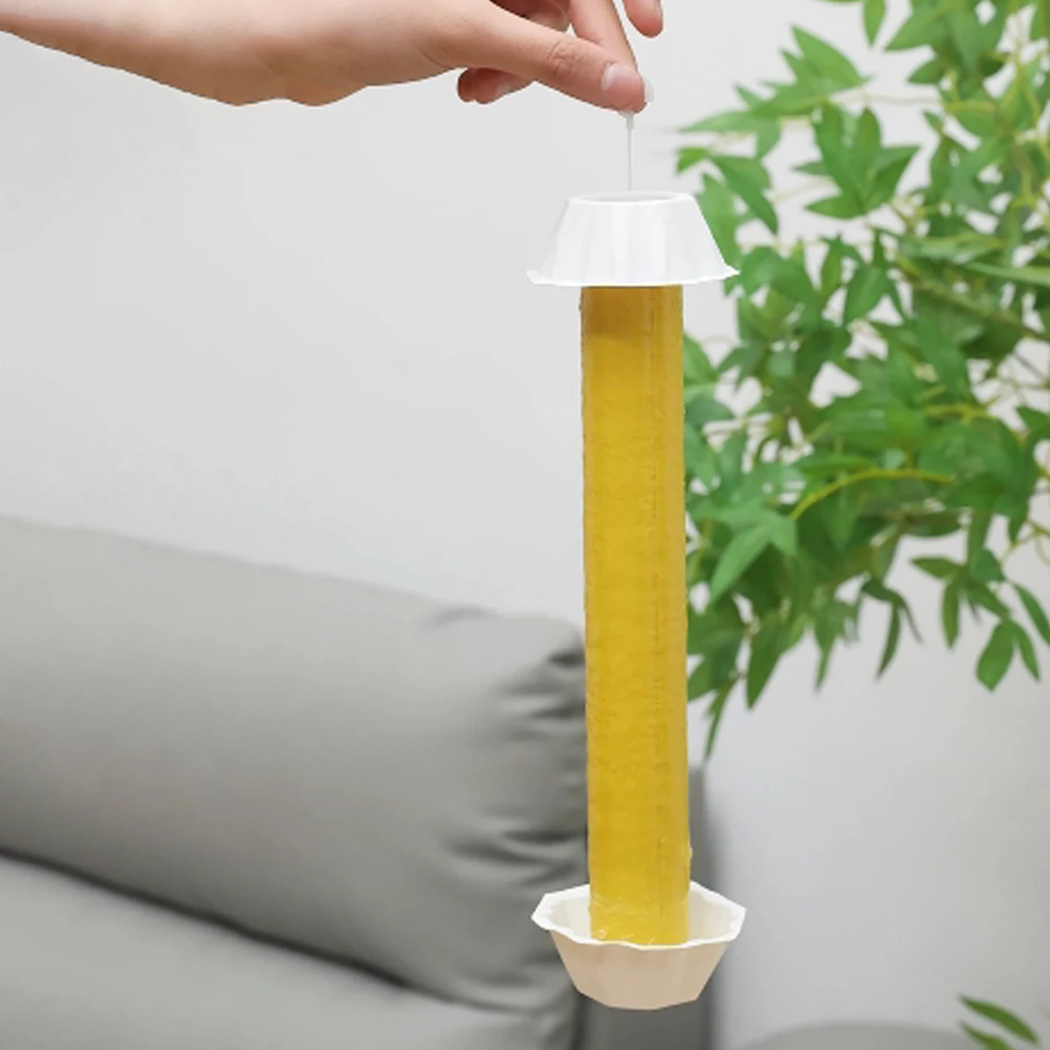 10 шт. супер липкая ловушка для фруктовых мух подвесная вредителей маленькая в