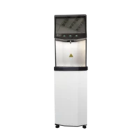 luxury vertical water dispenser with cold and hot water with ro reverse osmosis water purifier bayonet filter