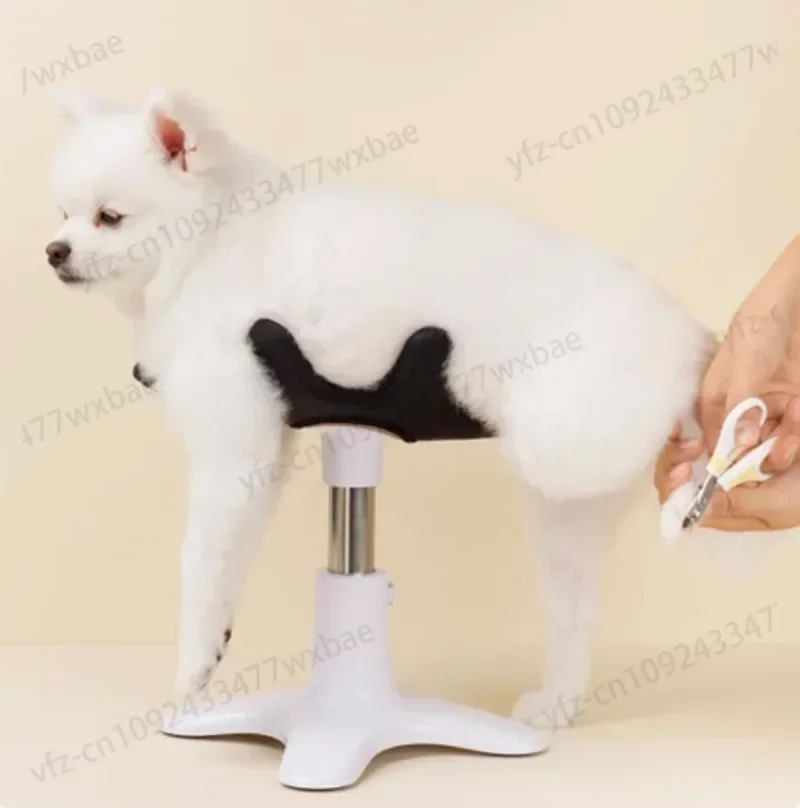 Ducha de mascotas secador pelo y Marco base mesa fija belleza