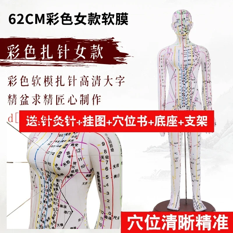 Модель человеческих акупунктурных точек и меридианов из двух бронзовых фигурок