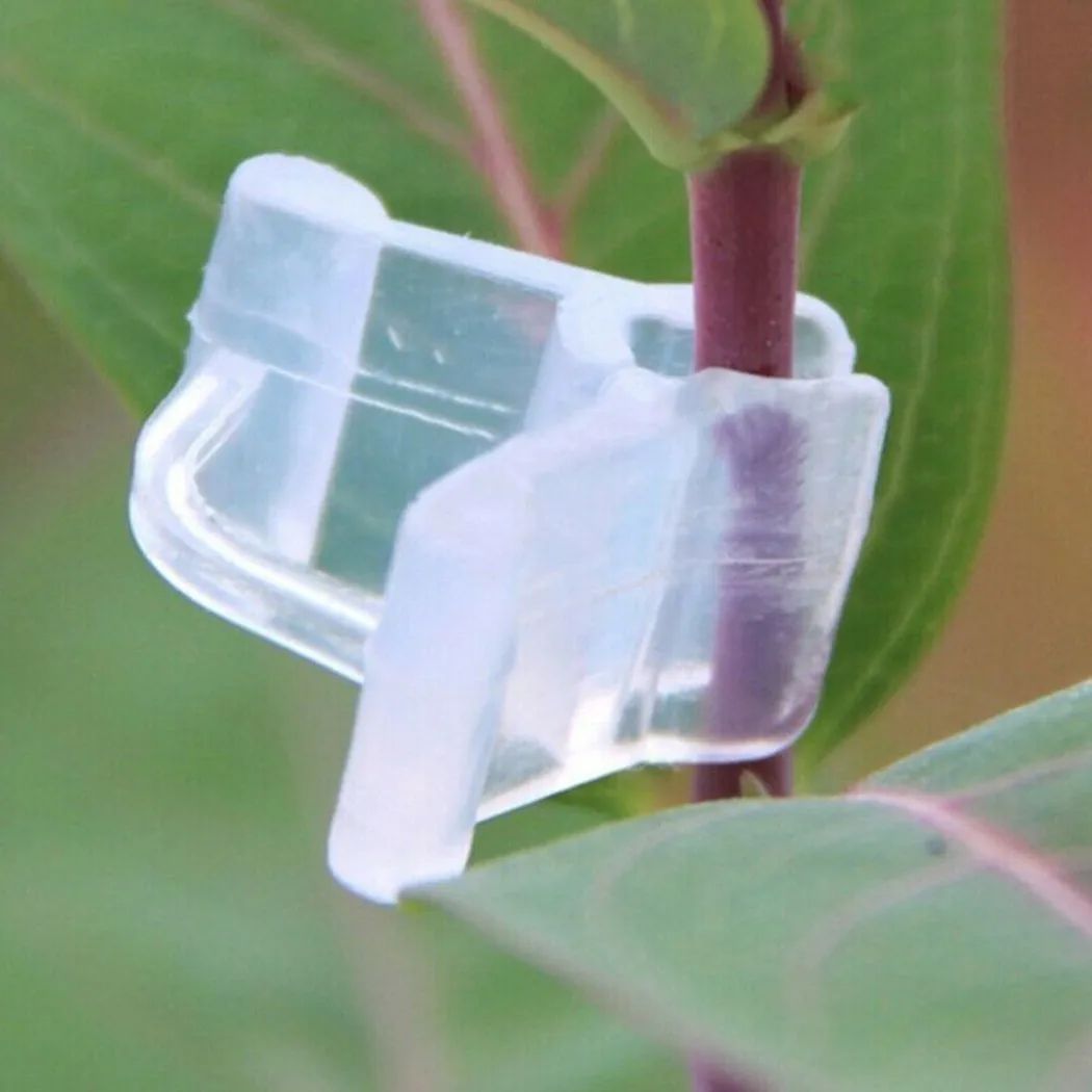

Tomato Grafting Clips Vegetable Vine 1*1*1.8cm 50pcs Accessories Clamp