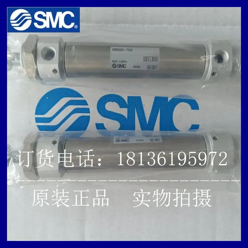 Цилиндр CDM2B25-100Z новый оригинальный в наличии