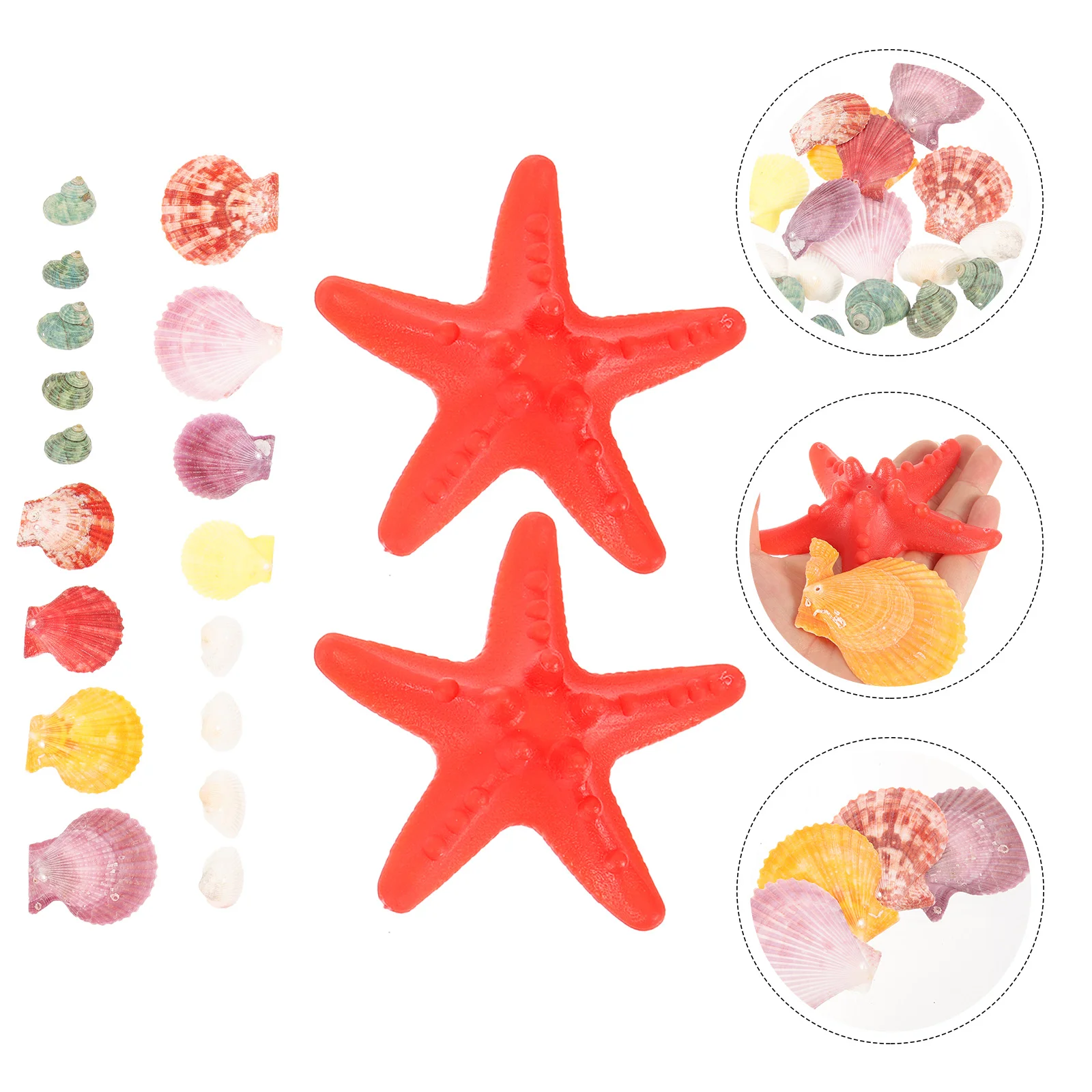 

1 Set of Wind Chime Material Hanging Shell Wind Chime Decorative Seashell Wind Chime