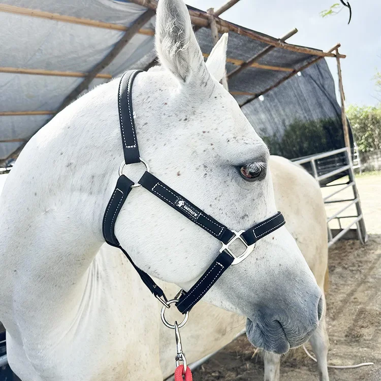 Веревка для закусок с головой уздечкиПродукты связыванияМаленькие и большие