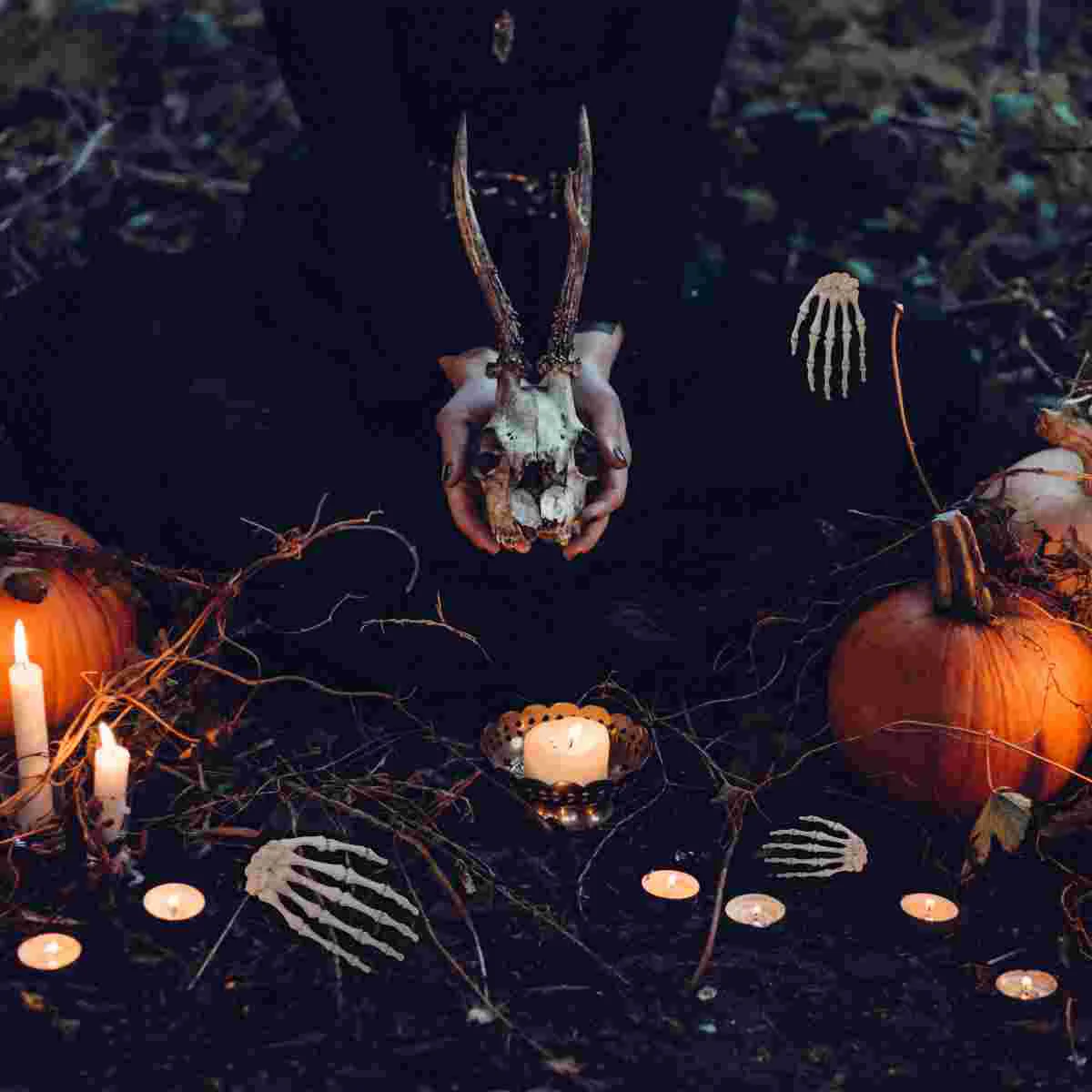 

Skeleton Hand Hands Props Decoration Plasticforbones Decor Prop Parts Festival Animal Big Size Life Luminous Body Pieces