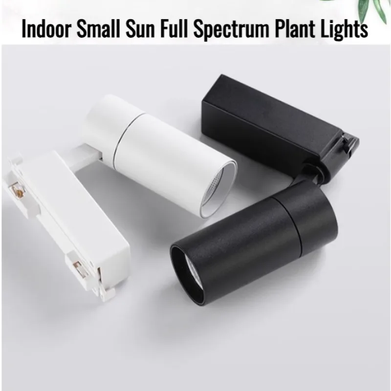 Фотофон с зелеными растениями цветочным магазином и планшетом