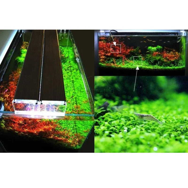 светильник светодиодный для аквариума чихирос 120. аквариумный светильник чихирос.