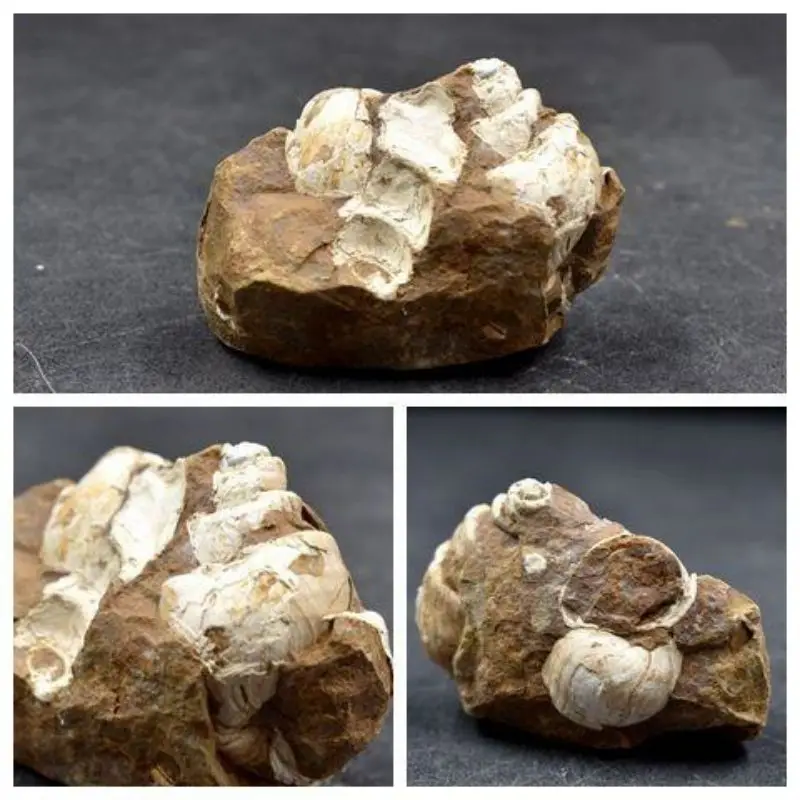 1Pcs A Natural Mineral Standard Strange Stone Original Stone Natural Ornamental Stone Line Stone Farmers From Pick From