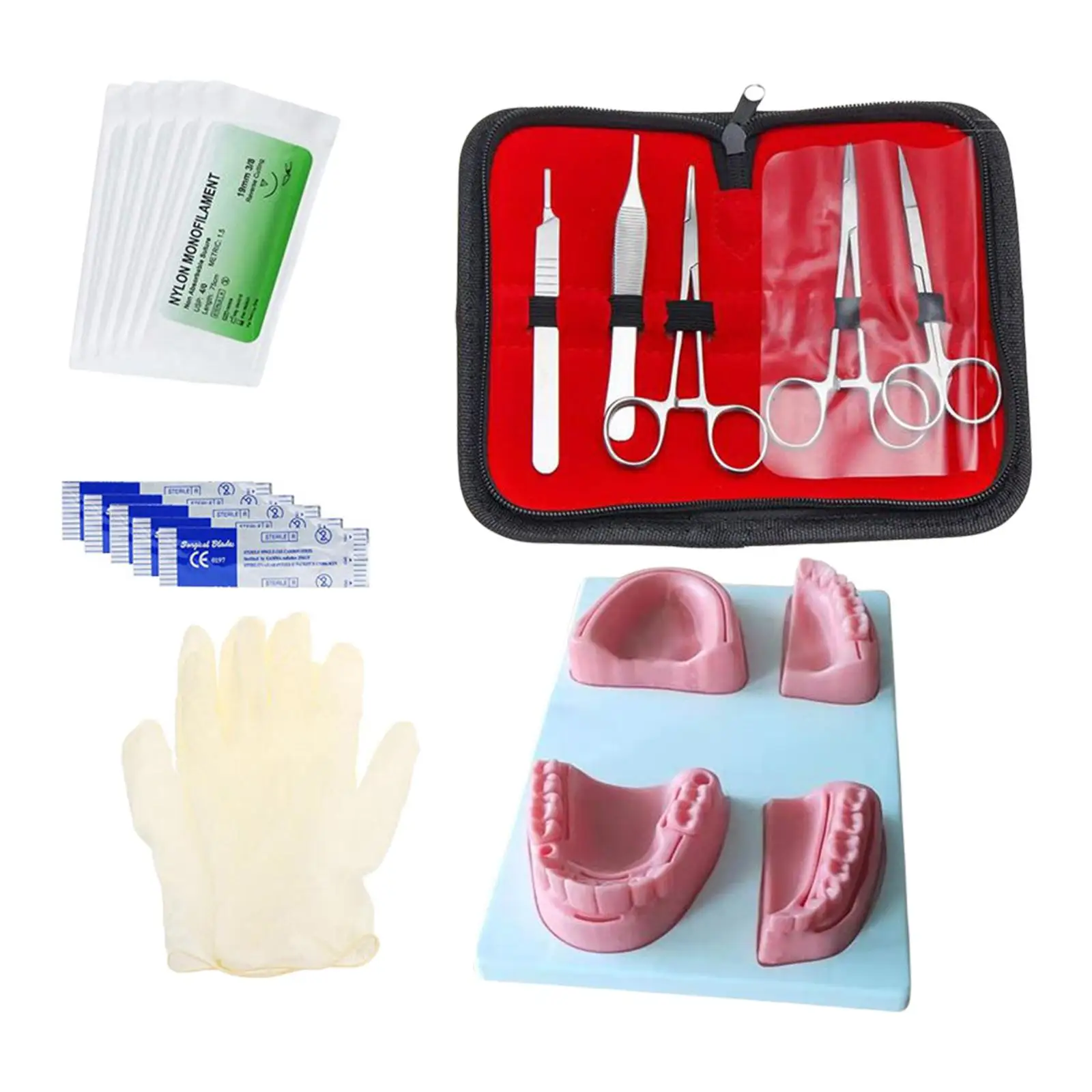 

Simulation Practice Kit Accessories Professional Durable Simulation Kit for Teaching Home