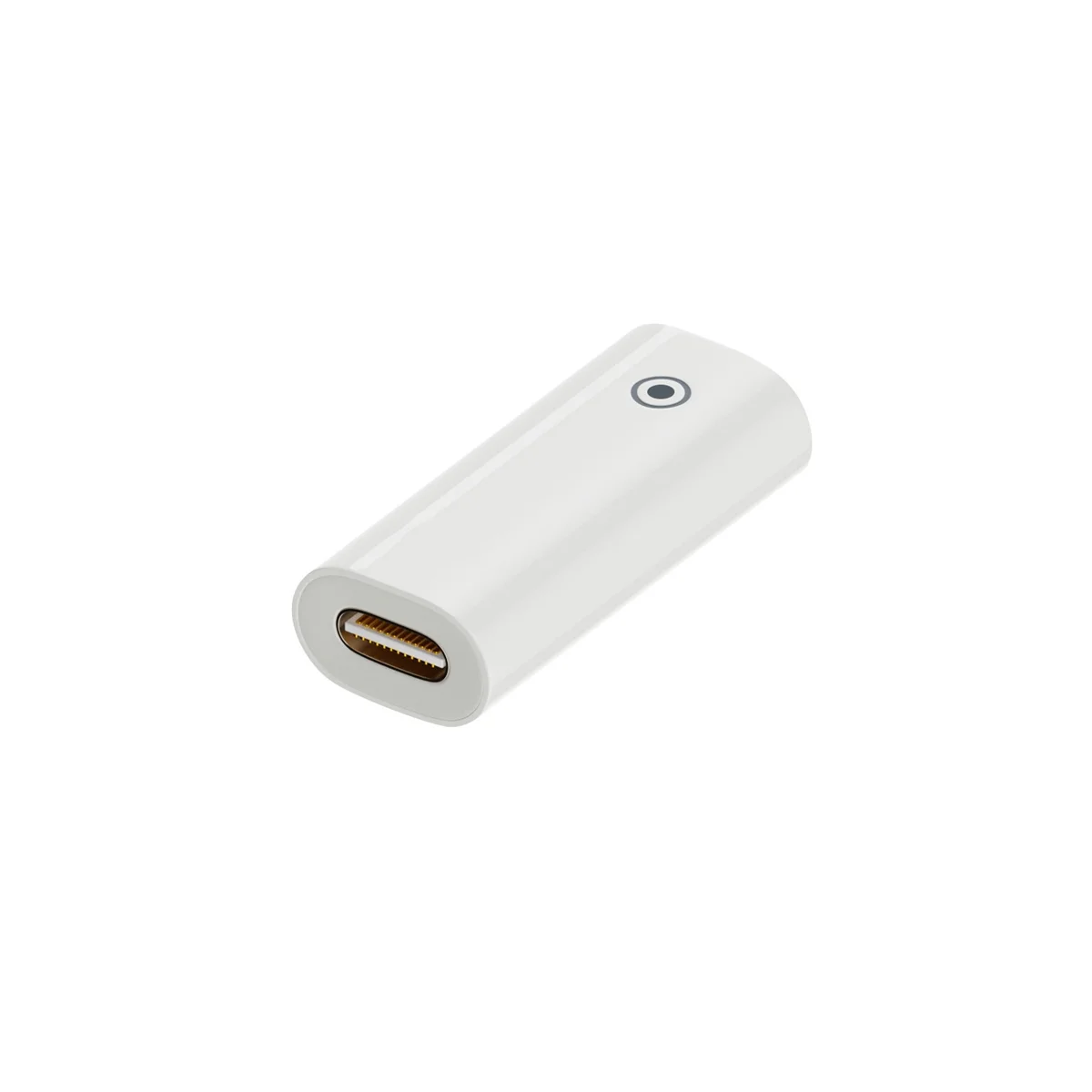 Ipad 1st Generation Charging Adapter Type-c Female Converter, Type-c Female To Lighting Female