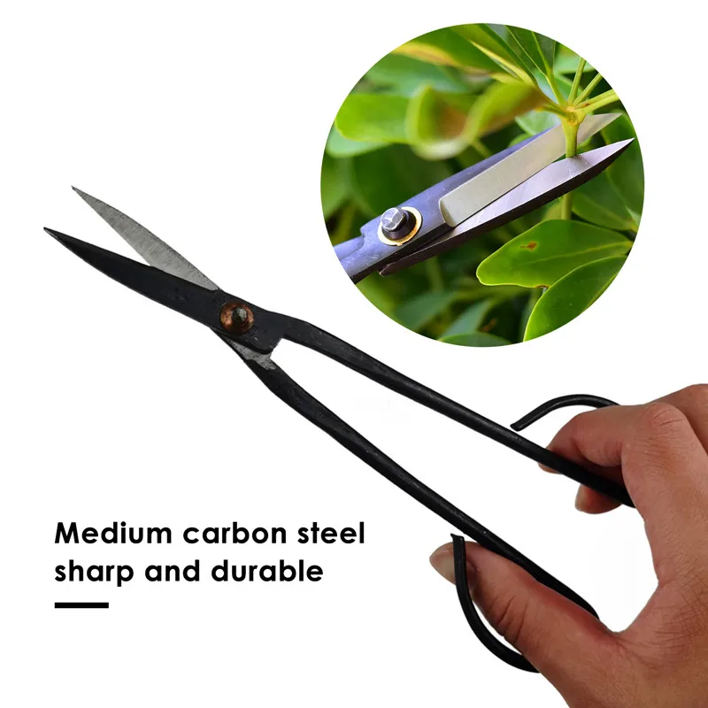 

Plant Trim Horticulture Pruner Cut Secateur Garden 20 Cm Scissor Tool Branch Shear Orchard Pruning Shears Beginner Bonsai Tool