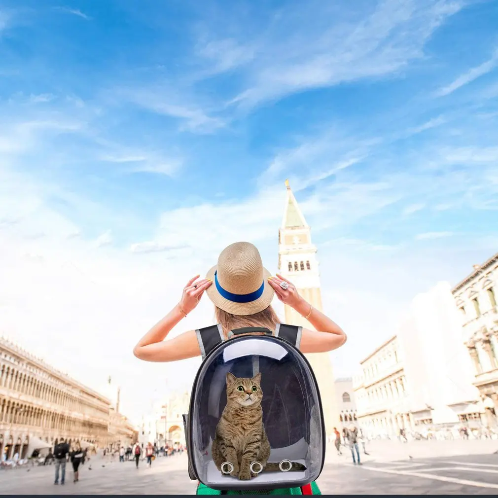 New Cat Carrier Bag Transport Backpack Travel Pet Portable Breathable Dog Transparent Bags For |