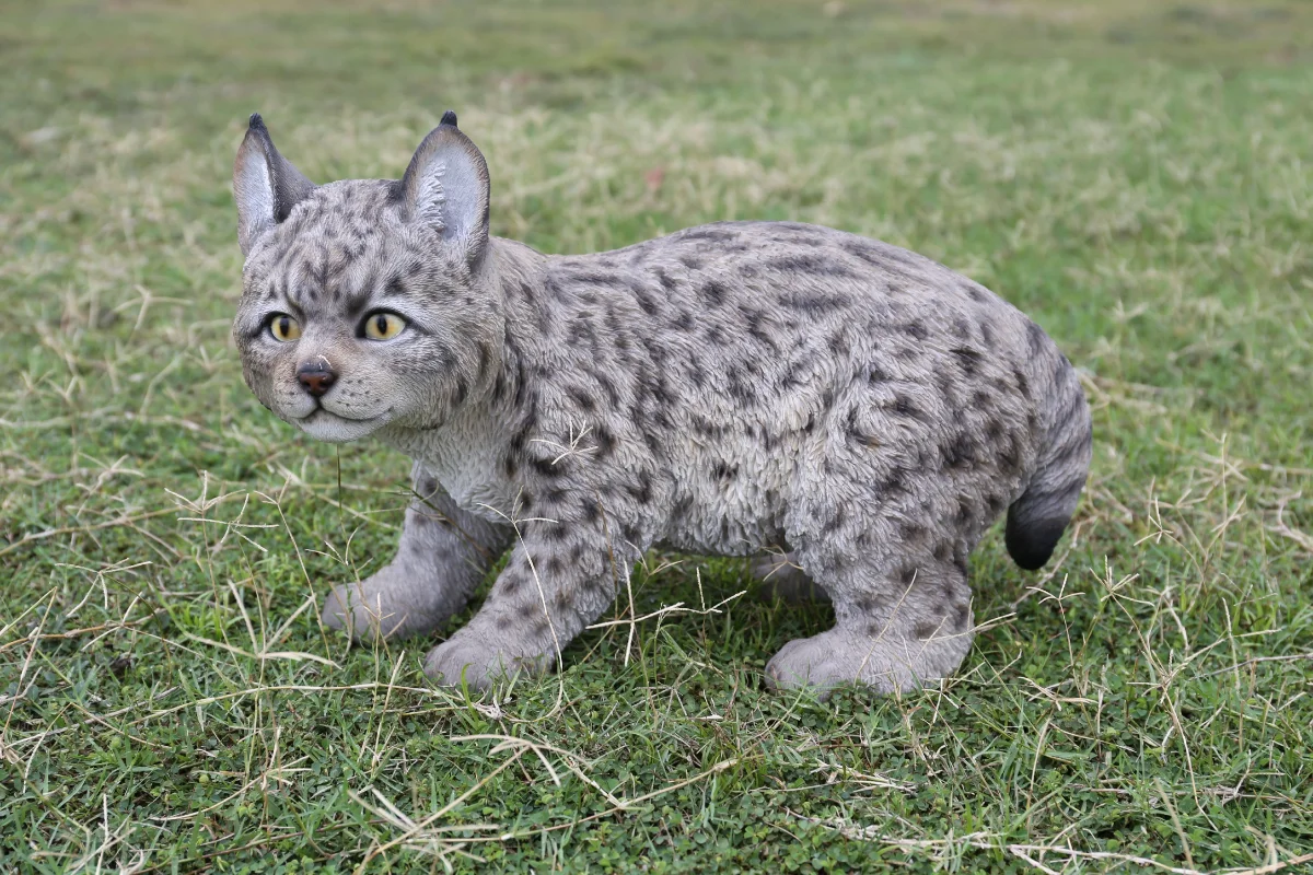 

Ltd. Lynx Kitten 17.72 X 8.19 X 11.81 Inches (L X W X H)