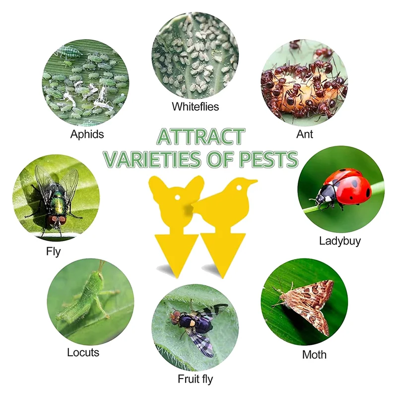 Клейкие ловушки для мух и фруктов Ловушки насекомых дома улицы 24 шт.