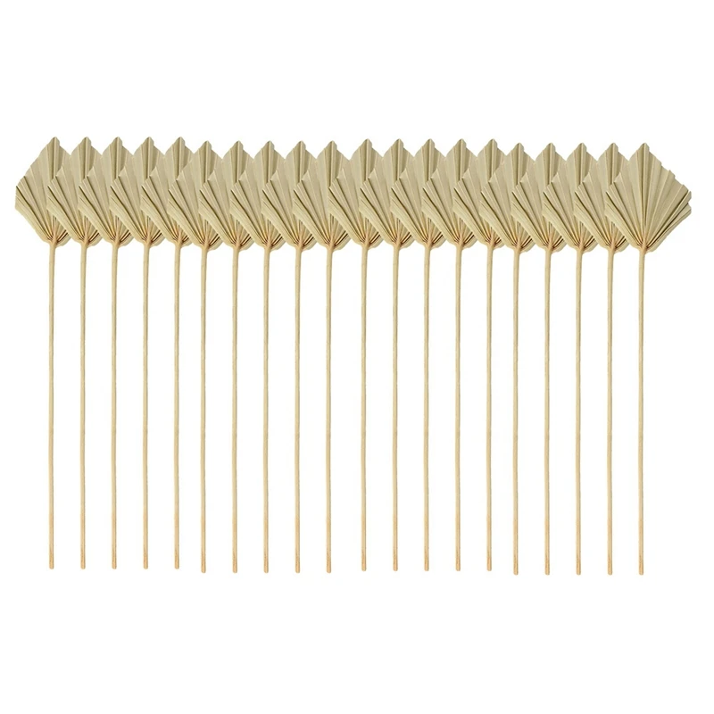 

Boho Dried Palm Spears Small Natural Dried Palm Fans Leaves Decor