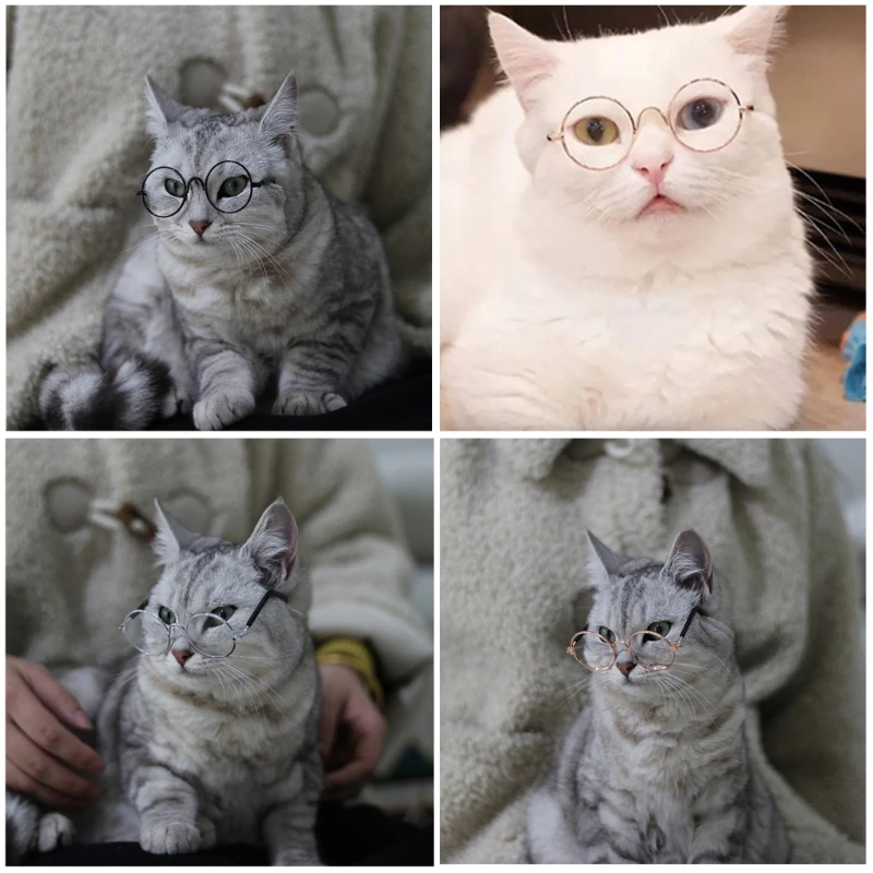 

Солнцезащитные очки для маленьких и средних котят