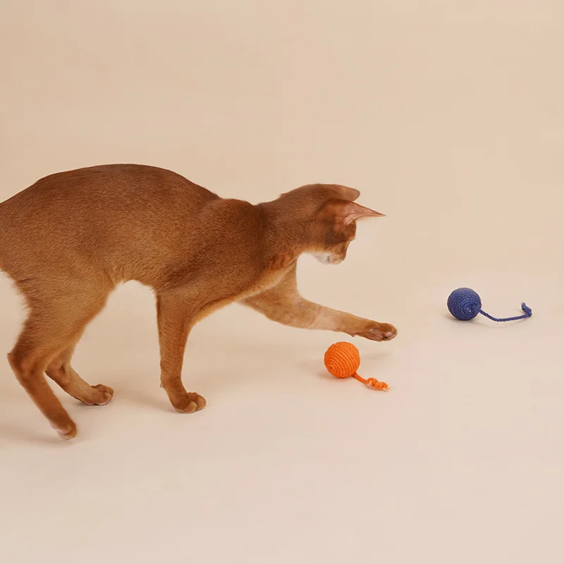 

Игрушка для кошек, кошка, игрушка для кошек, устойчивая к укусам, встроенное кольцо, каменная палочка, против укусов, кошачья мята, стандартный набор, игрушка для кошек, самонабирающийся котенок