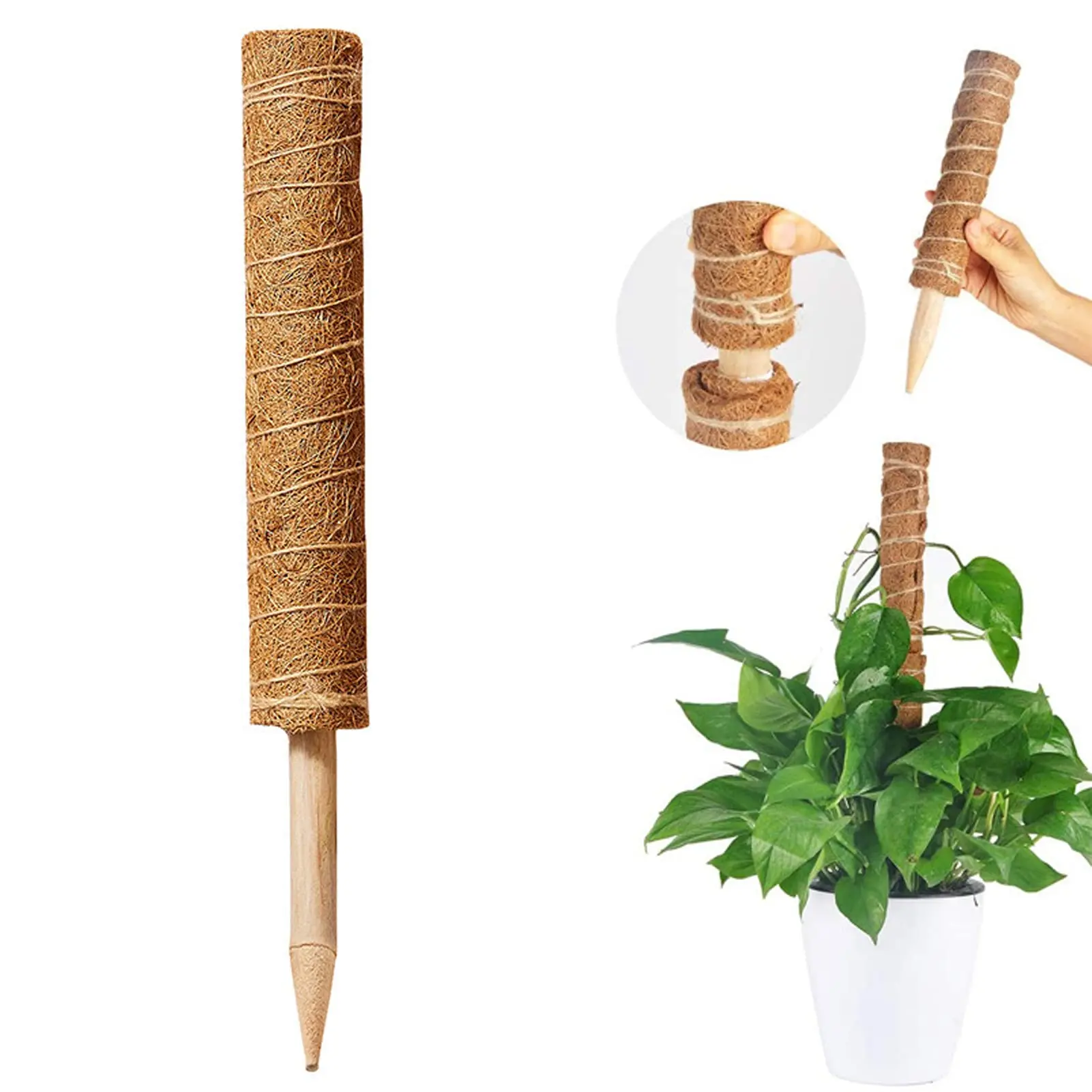

Coconut Palm Climbing Sticks with Extendable and Deformable Accessories for Garden Plants