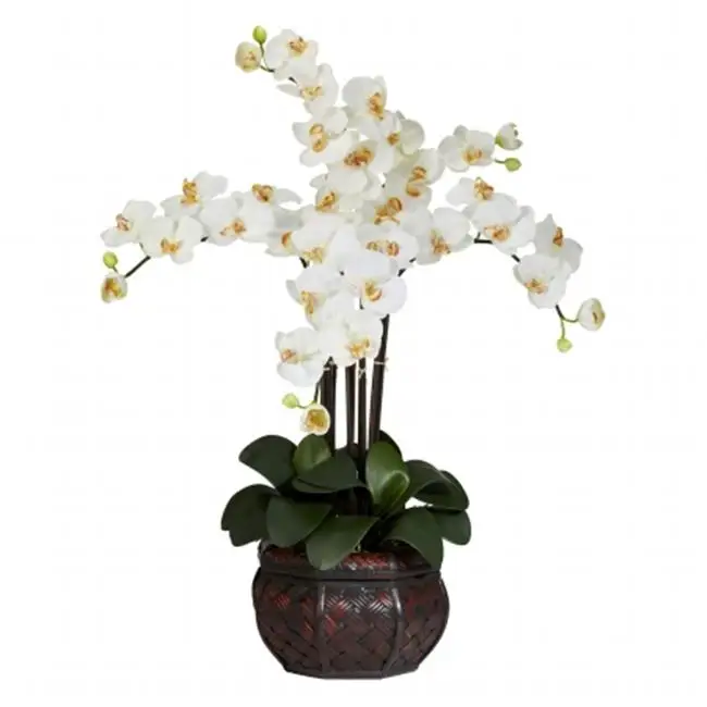 

Phalaenopsis with Decorative Vase Artificial Flower Arrangement, Cream