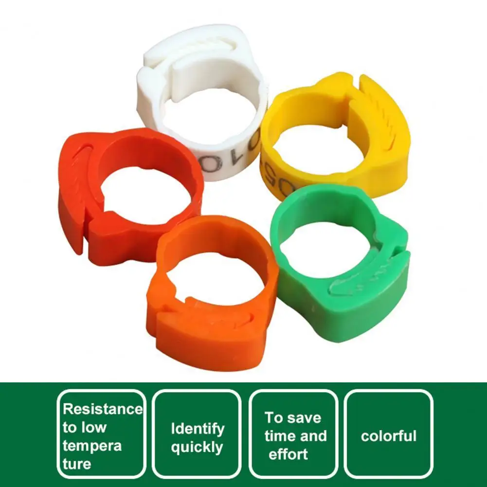 Premium Texture Chicken Foot Ring Detachable Easy-assembled Duck Chicken Foot Ring Chicken Ring Duck Leg Bands 100Pcs