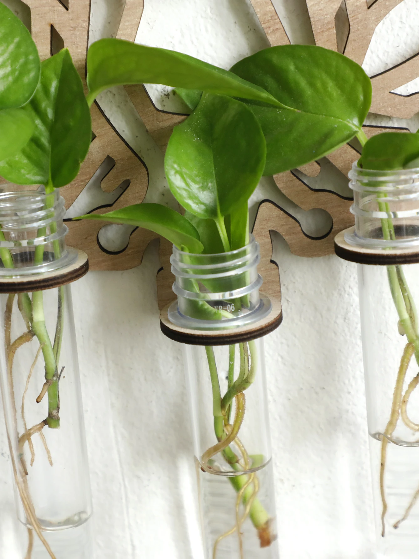 Деревянная настенная станция для размножения в виде лягушки подвесной держатель