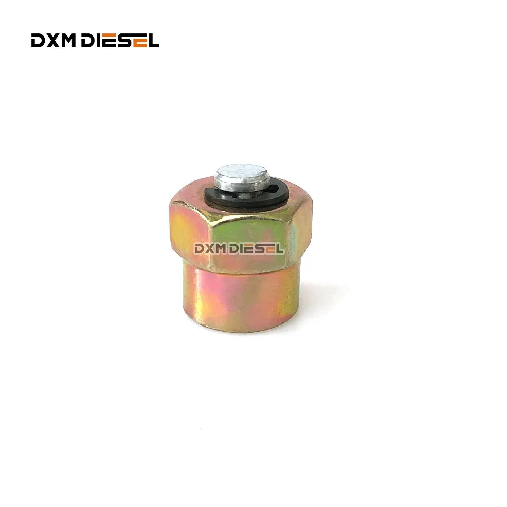 

DXM 10 PCS Diesel High Pressure Fuel Common Rail Pipe Plug M14