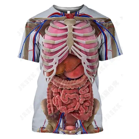 Мужская футболка с 3D-принтом скелета внутренних органов, Мужская футболка с схемой структуры человека, летняя футболка с коротким рукавом, Забавные топы, футболка