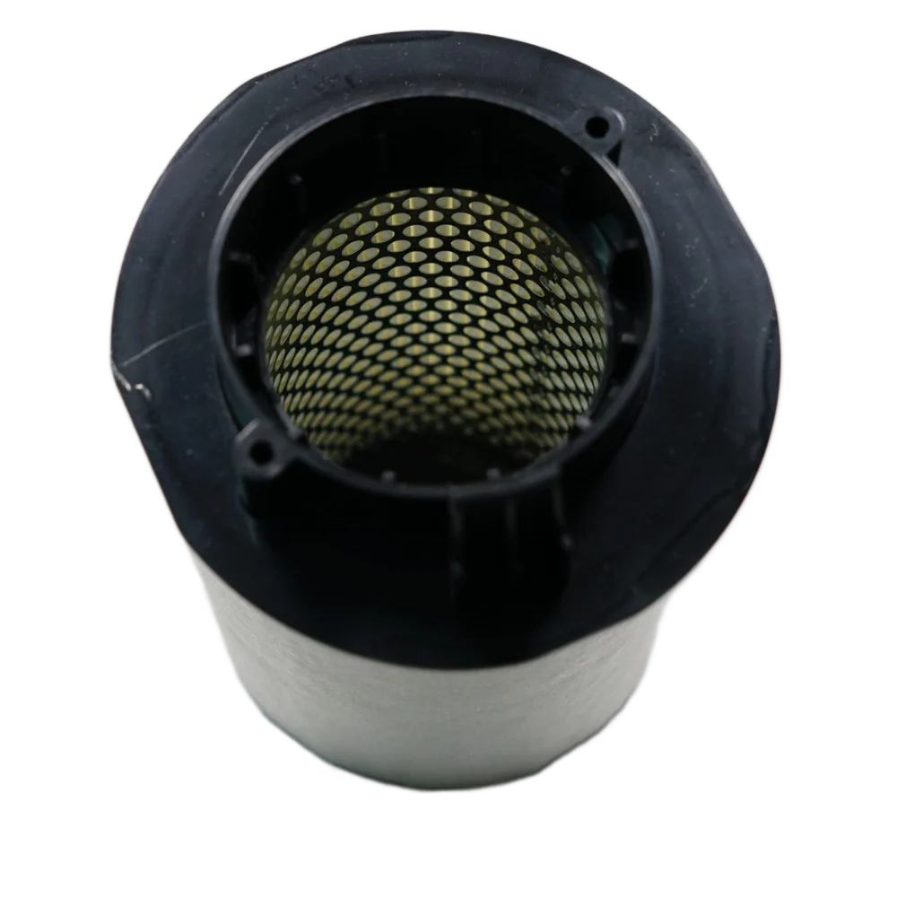 

Air Filters for 2010 Audi sports car R8 4.2L OEM:420133843B