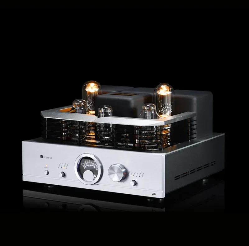 Рисунок 5 - Новый трубчатый усилитель MUZISHARE