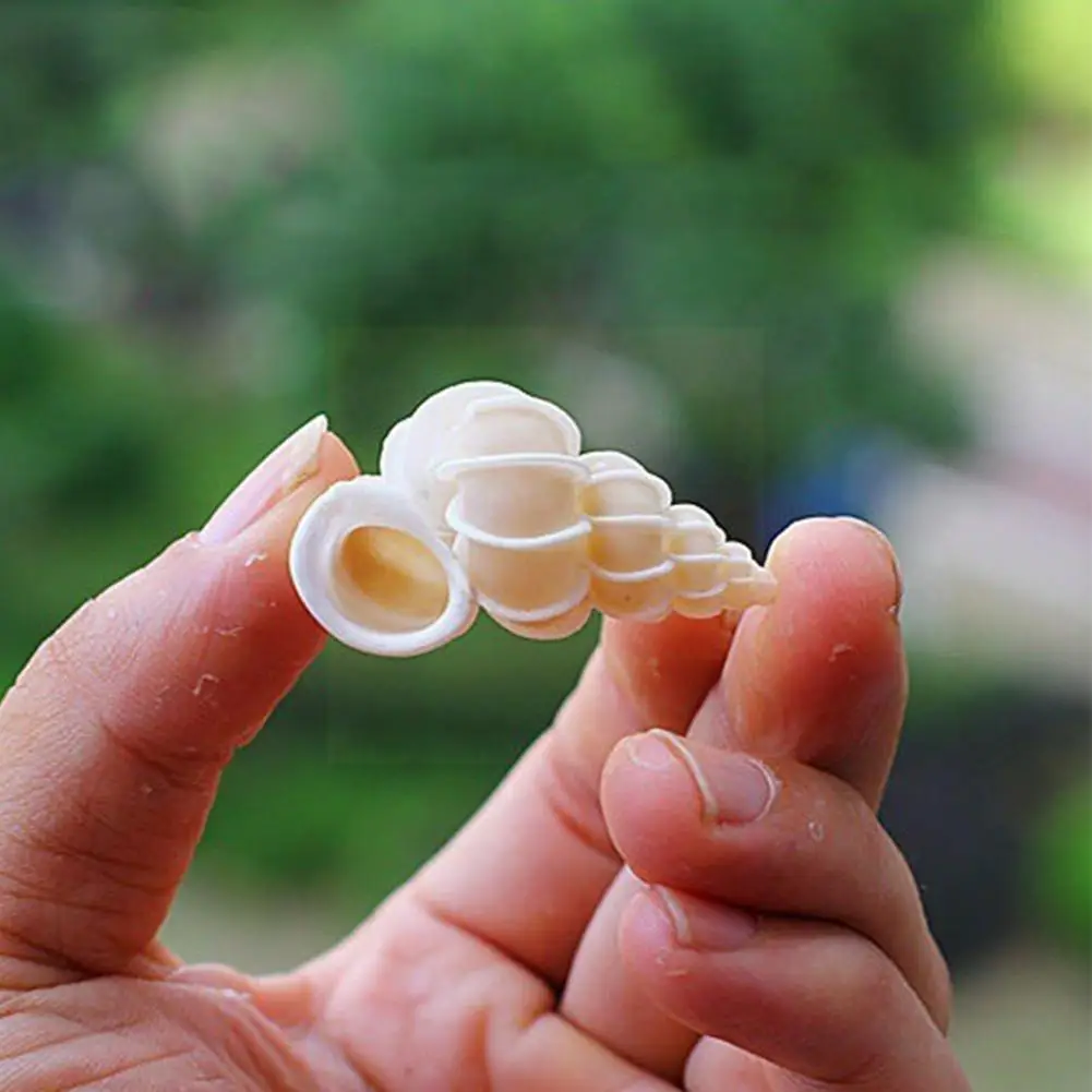 

3-5cm Natural Conch Shell Specimen Snail Collection Home Landscape Tank Fish Decor Seashell H8R9