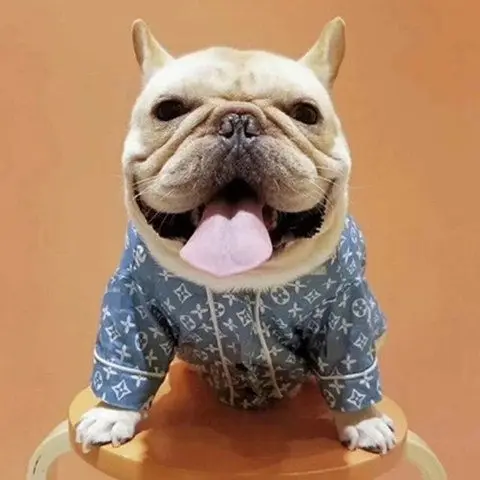 

Dog Spring/Summer Denim Clothes Pug Koki Fa Dou Teddy Shirt Fashion Brand Cat Bibear Pet Bijiao Clothes
