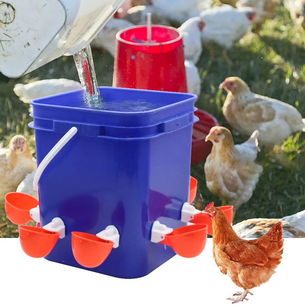 

Feeder Feeders Water Dispenser Kit And 3.2 Gallon 15 Pound And Feeder 8 With Water Self-filling 4 Dispenser Chicken And Cups