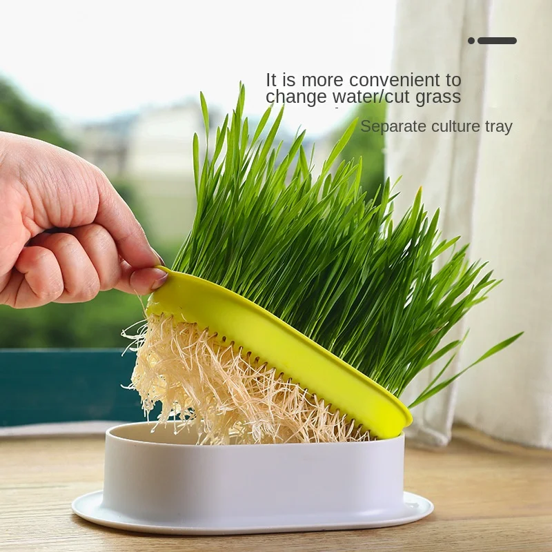 

Pet Cat Grass Boxs Pot Hydroponics Set Cat Grass Snack Hair Ball Cleaning Stomach Grass Hydroponics Grass Cat Supply Pet Supply