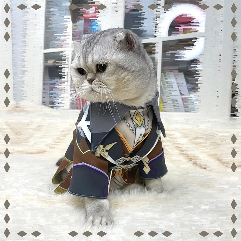 

Игра Genshin Impact Zhongli тема маленький кот одежда Пальто Косплей Аниме Костюм фотография Реквизит аксессуары