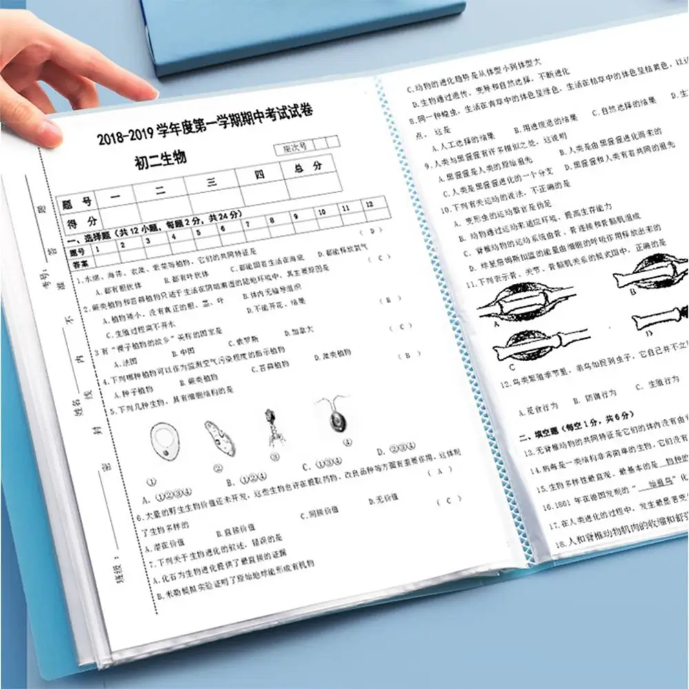 Мультипликационная папка для хранения на 20/30/60/100 страниц Большая вместительная