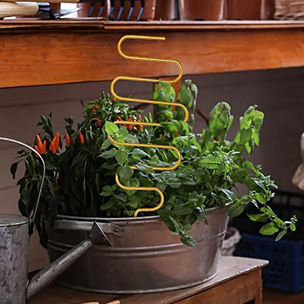 

Plants Support Stakes 6Pcs Excellent Reusable Long Service Time Vine Plant Stake Potted Flowers Trellis for Garden