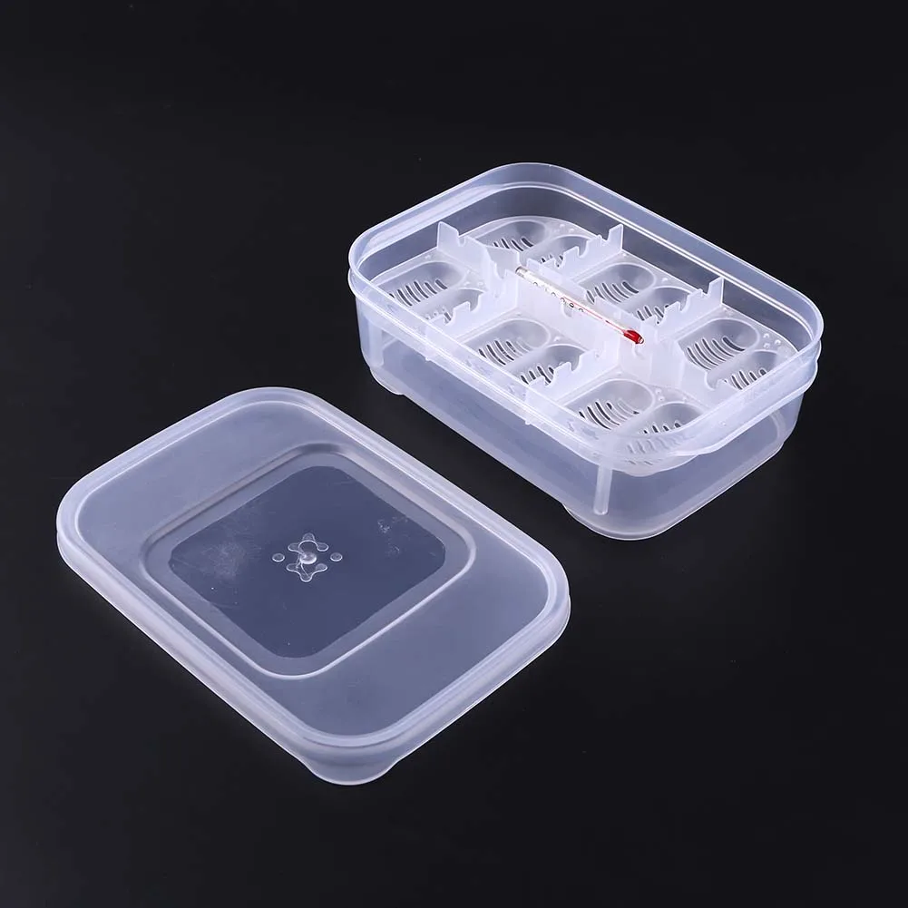 12-ячечный Инкубатор Для Искусственных Яиц Рептилий Пластиковый Ящик Хранения