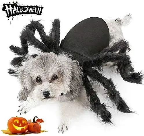 

Dog Cat Spider Costume, Halloween Cosplay Costumes for Small Dogs and Cat, Puppy Cat Dress Up Accessories