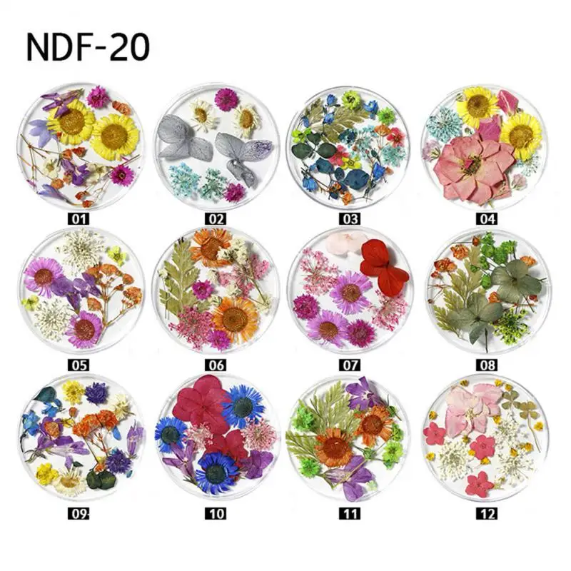 

Nail Art Accessories 24 Natural Beautiful Small Narcissus Flowers Gypsophila Decorative Dried Flowers Rhinestones & Decorations