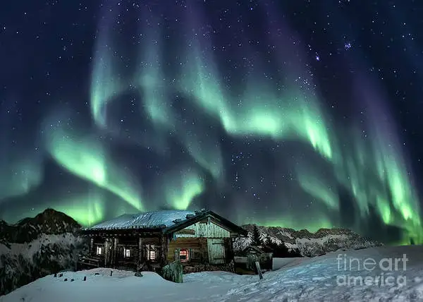 

Фотообои с изображением семейной комнаты, бара, кафе, художественного декора