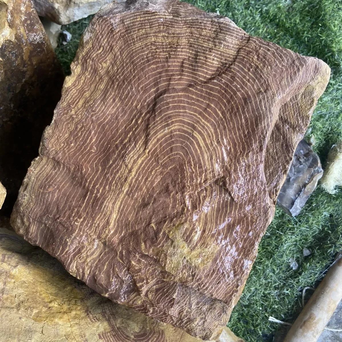 Рисунок 4 - 500 г натуральное сырье руды шесть колец твердость 2