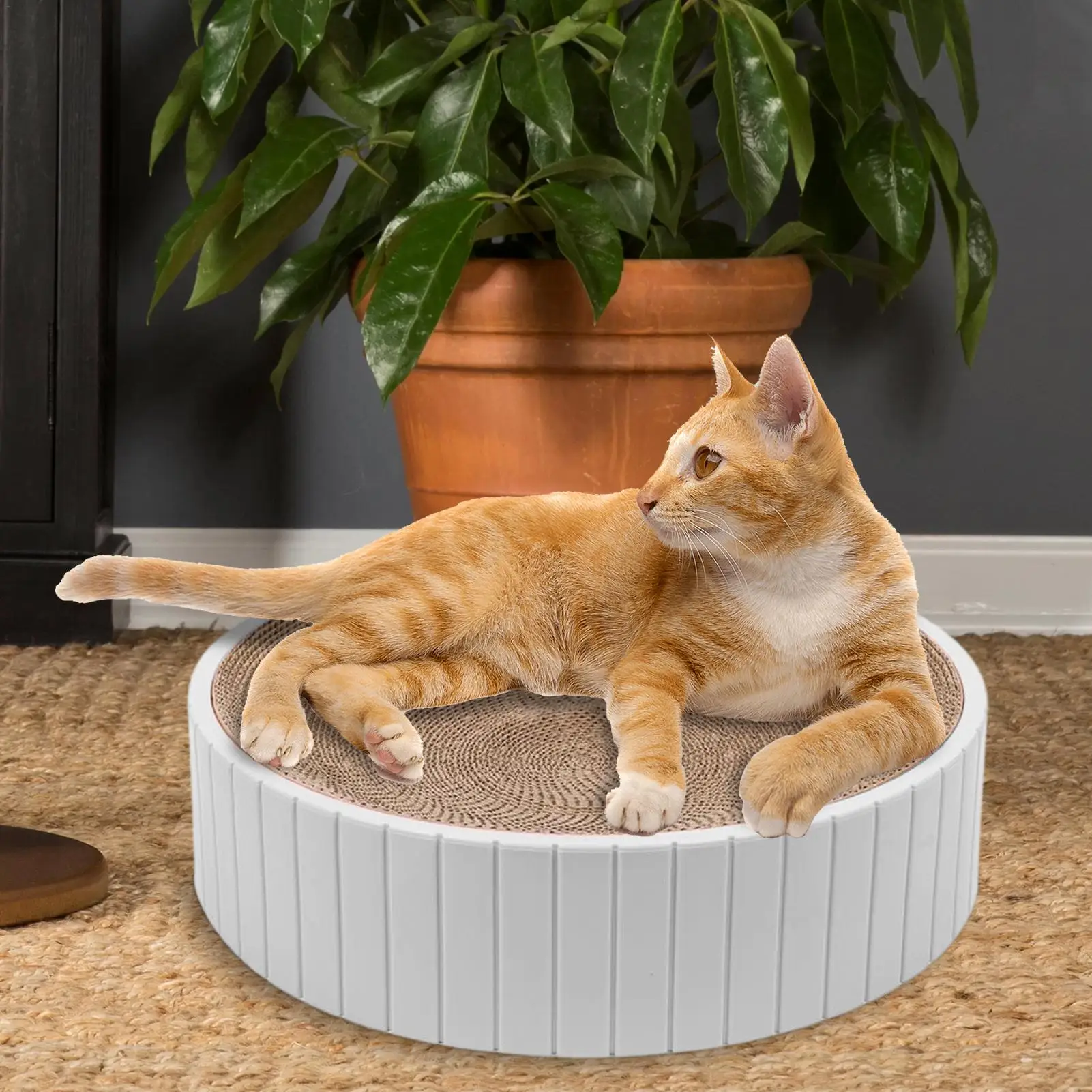 

Круглая Когтеточка для кошек, двусторонняя Когтеточка из гофрированной бумаги