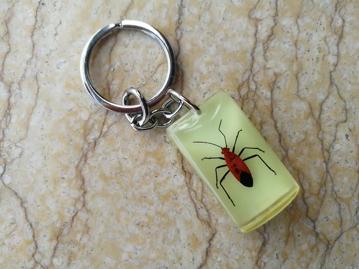 YQTDMY 10 шт. брелок для ключей в виде скорпиона насекомых