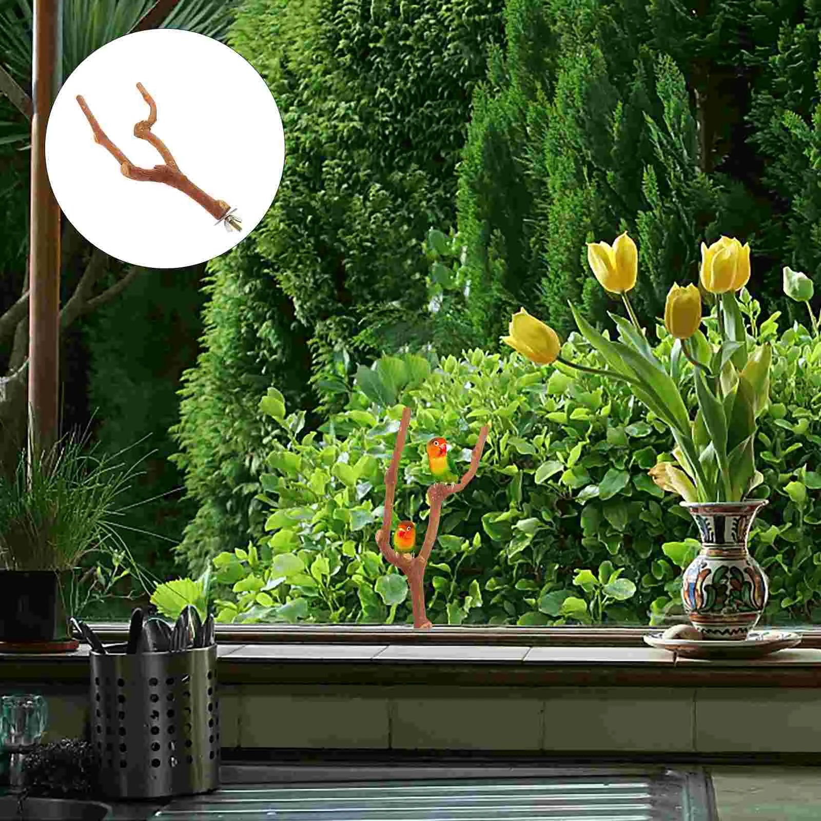 

Branch Parakeet Bird Perch Bird Stand Parakeet Perch Parrot Perch Parrot Stand for Standing Cage Parakeet Parrot