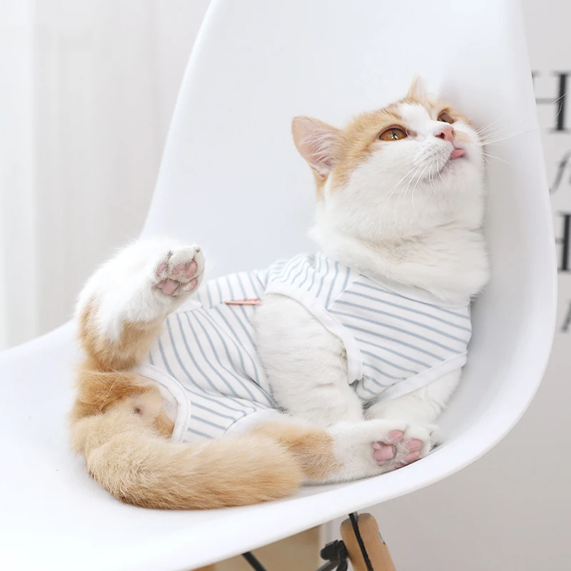 

1Pcs New Cat Vests Nursing After Surgery Care Avoid Licking And Biting Breathable Stripes Clothes Pet Products Home & Garden