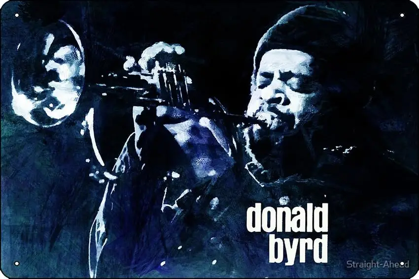 Постер Дональд байрд-домино металлический жестяной знак 12X8 дюймов забавная