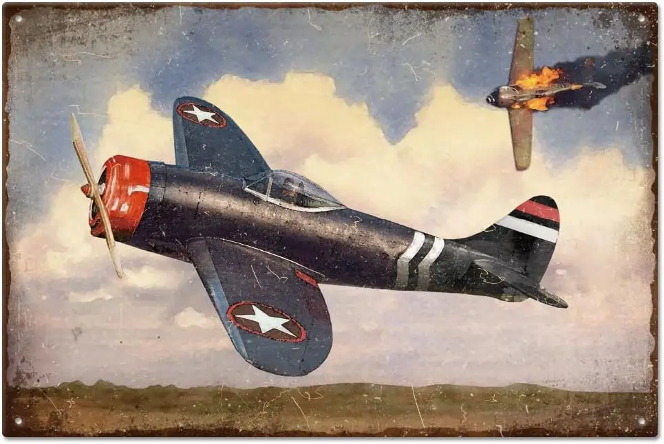 Flyng Arplane Metal Tn Sgn для гаража Sgns Garden 12x8n/30x20cm Художественная табличка Плакат